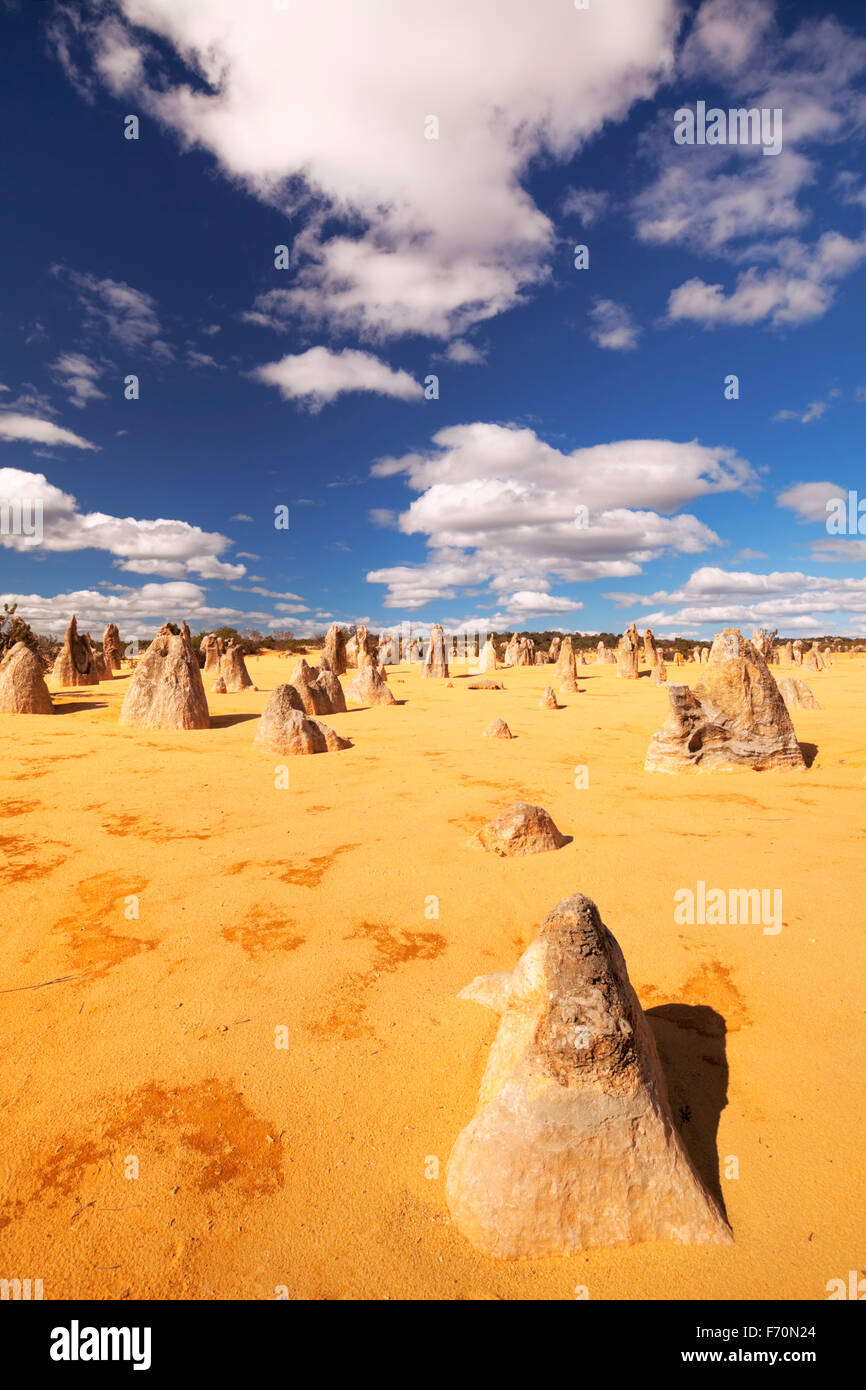 Le Désert des Pinnacles dans le Parc National de Nambung, dans l'ouest de l'Australie. Banque D'Images
