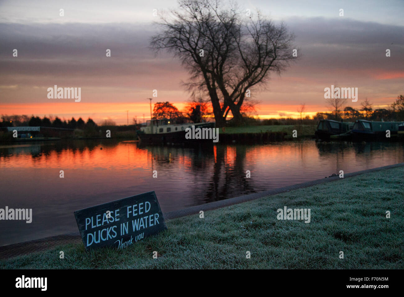 Rufford Marina, Burscough, Preston, Lancashire, UK 23 Novembre, 2015. Météo britannique au lever du soleil. 'Veuillez nourrir les canards dans l'eau' signe sur un froid, froid glacial et commencer la journée en péniche sur le canal de Leeds Liverpool se réveiller à un lever de soleil glorieux. La Direction générale de Rufford Rufford entre et Sollom a été construit par la navigation Douglas autour de 1760. Sept ans après la Leeds et Liverpool Canal a été achevé, une succursale de Burscough à Rufford a ouvert en 1781. La dernière section, de Sollom Tarleton à, ouvert en 1805 dans le cadre de l'amélioration du drainage Croston. Banque D'Images