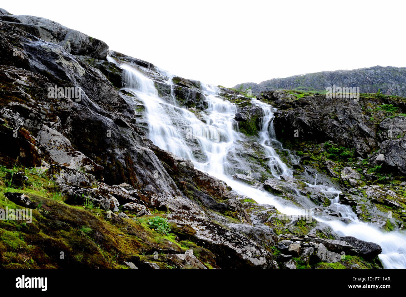 L'eau douce propre stream fonctionnant en bas côté montagne paysage en été Banque D'Images