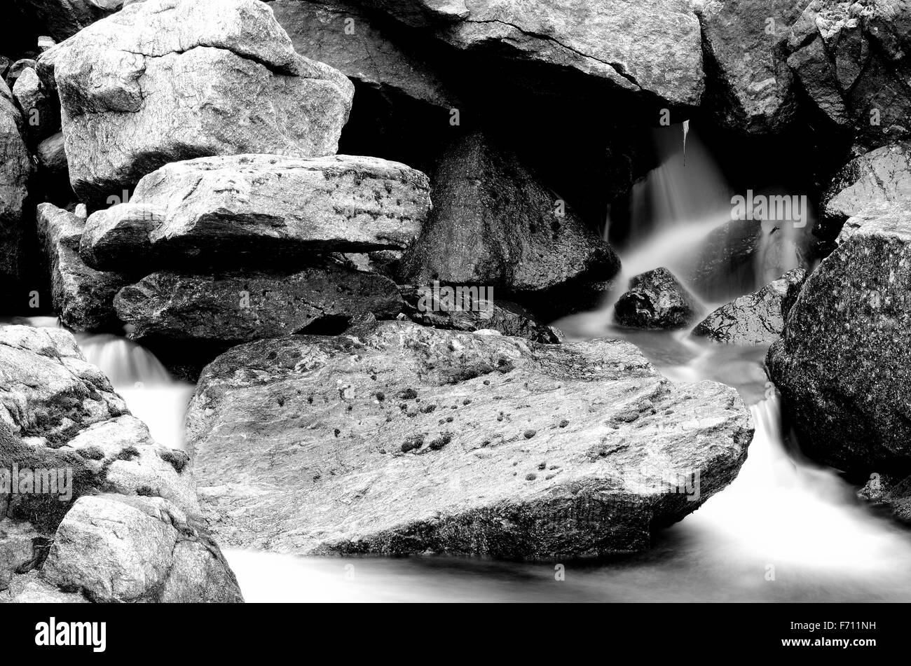 Belle rocky mountain creek avec de l'eau froide claire dynamique Banque D'Images