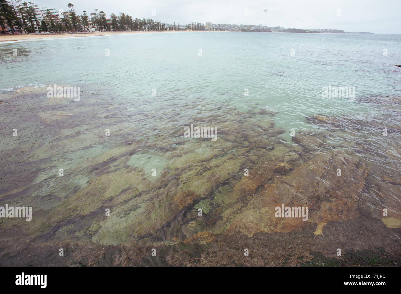 L'eau claire Sydney Australie Banque D'Images