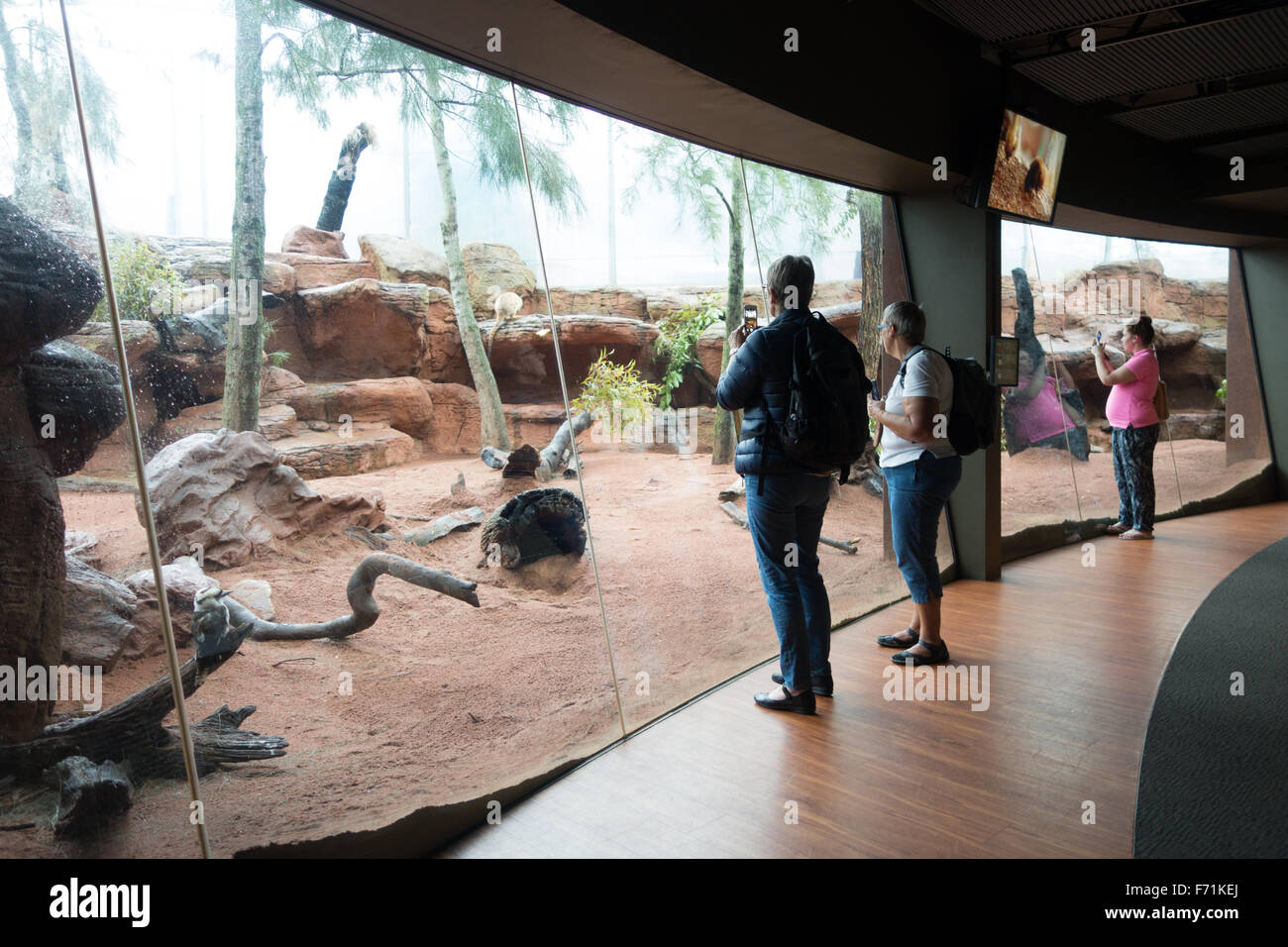 La vie sauvage zoo Sydney tourist Banque D'Images