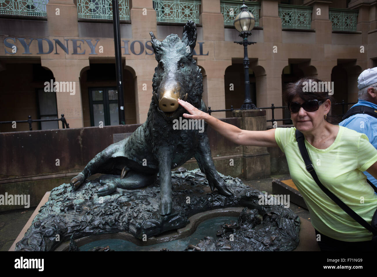 Porcellino statue en bronze de l'hôpital de Sydney porc sanglier Banque D'Images