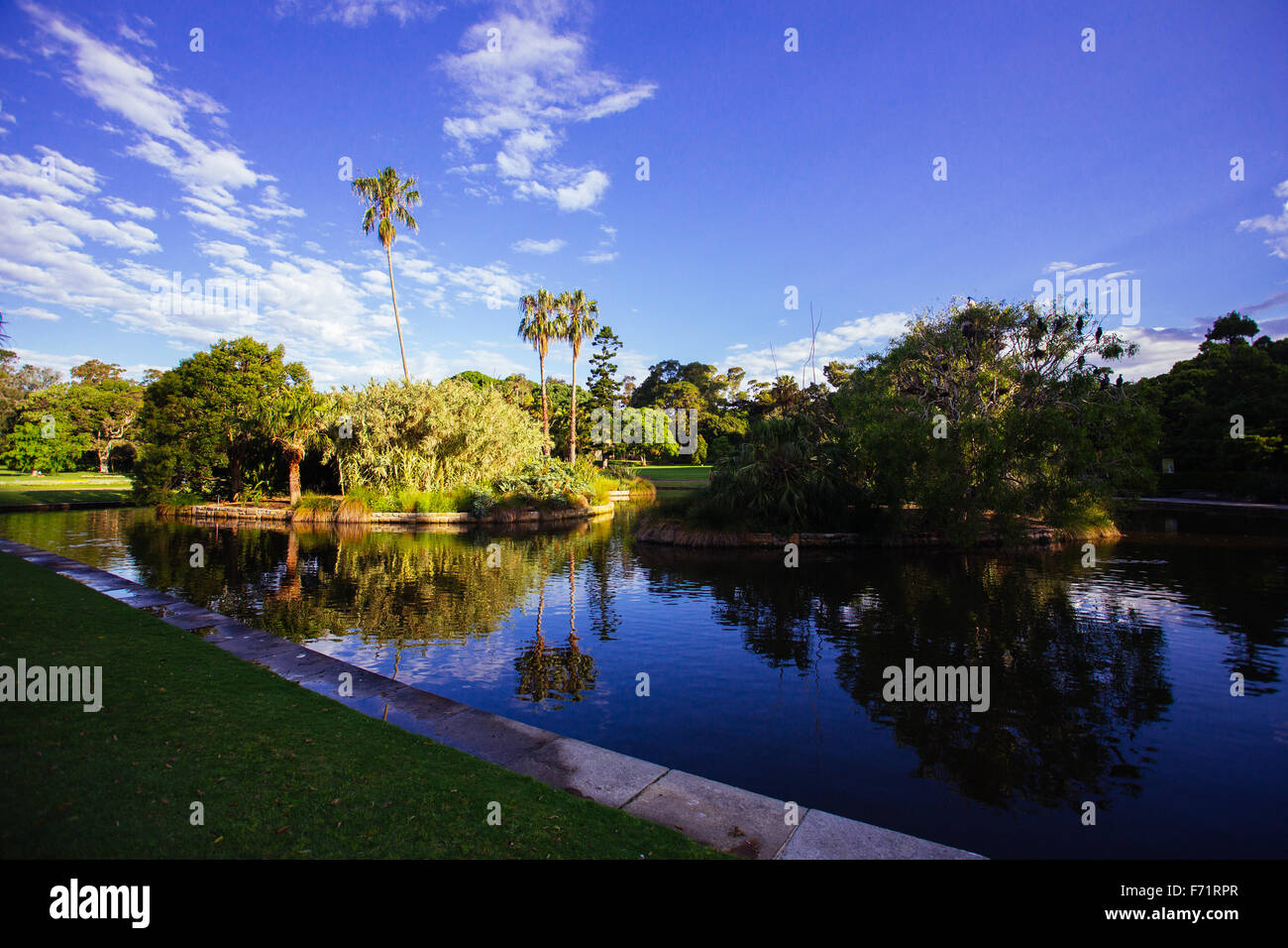 Jardins botaniques royaux de Sydney Banque D'Images