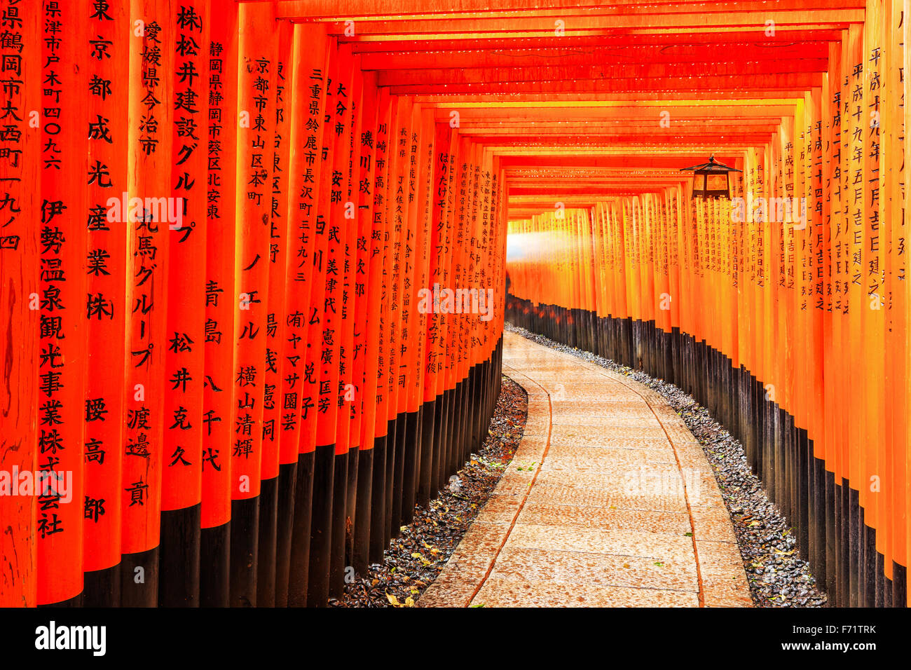 Torii gates dans Sanctuaire Fushimi Inari, Kyoto, Japon Banque D'Images