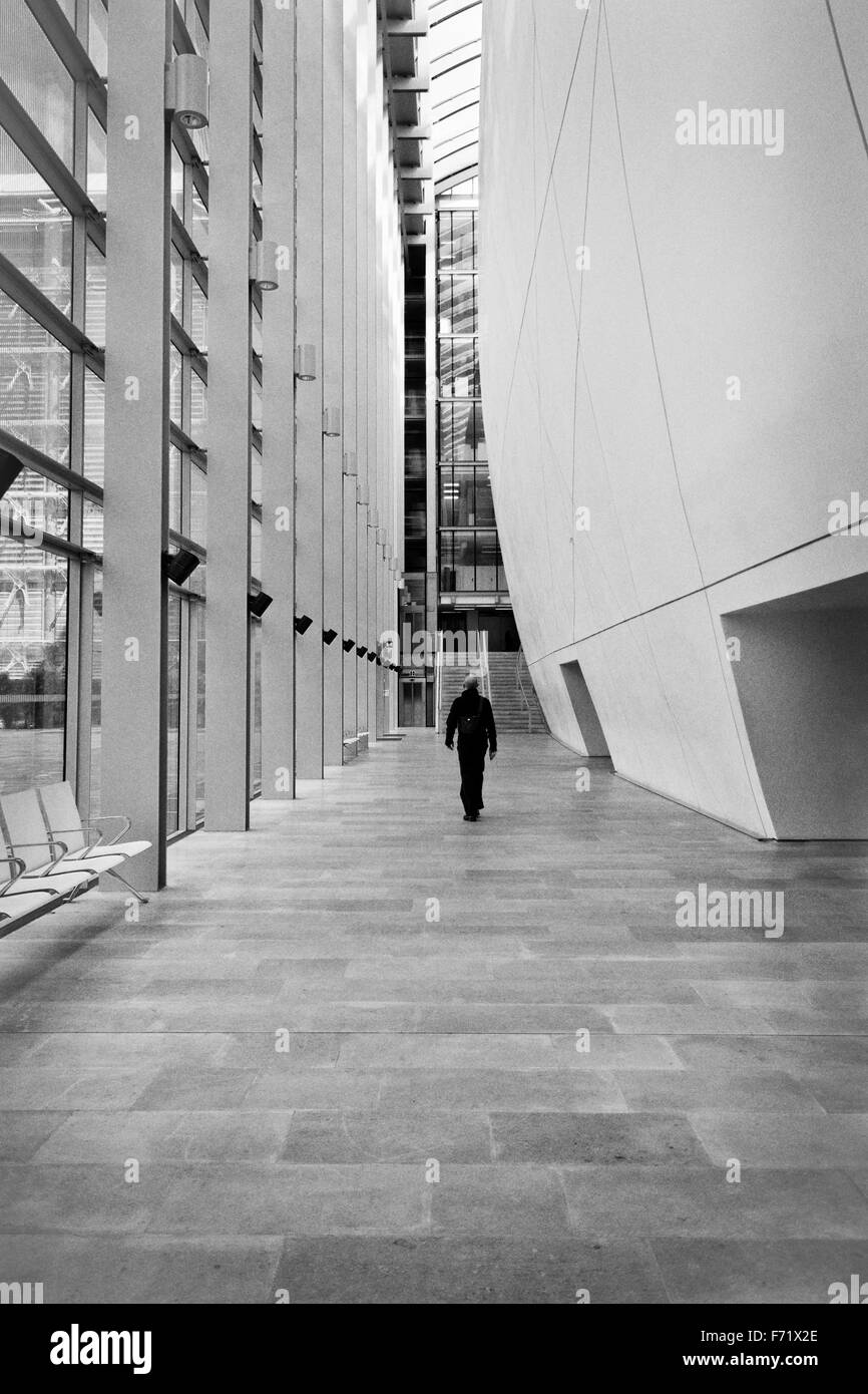 Londres, Royaume-Uni - 28 avril 2013 : un homme marchant dans le couloir dans le centre de Charles Darwin au Natural History Museum. Banque D'Images