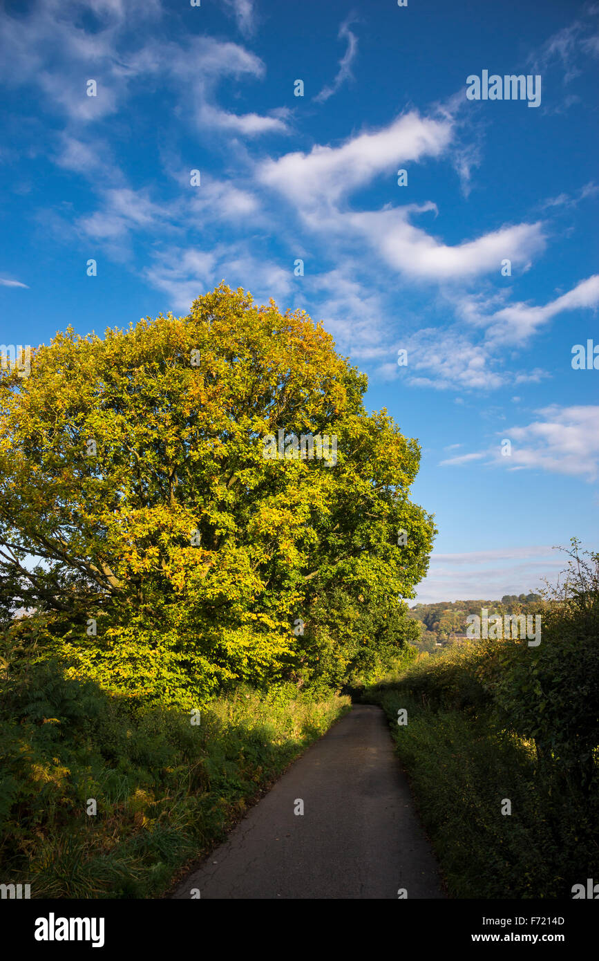 Journée d'automne ensoleillée sur un chemin de campagne anglaise avec des nuages dans un ciel bleu. Banque D'Images