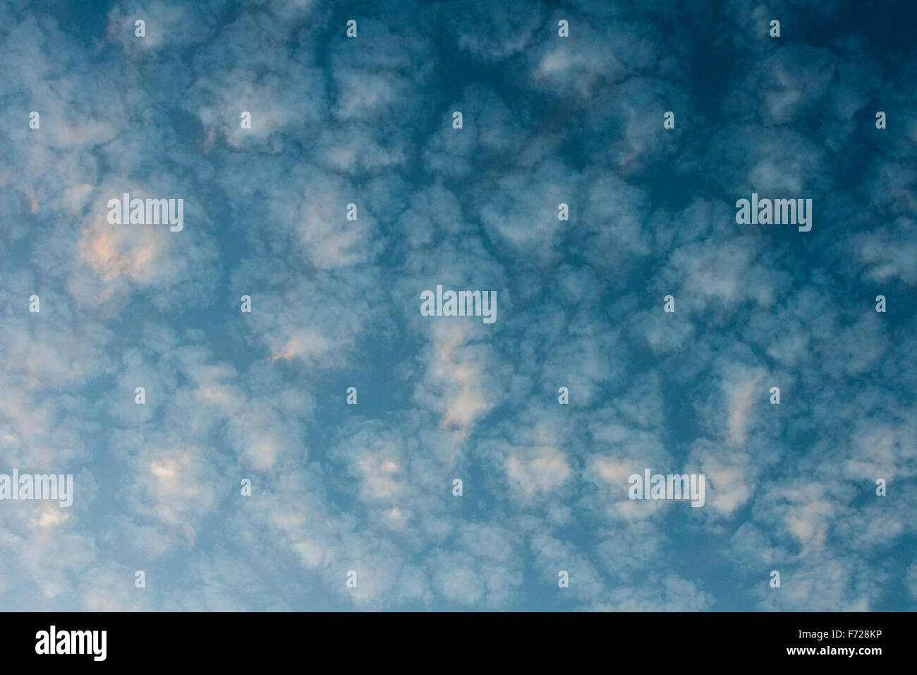 Motif de nuages qui ressemble à marbrure sur papier. Cela pourrait être la formation d'un altocumulus ou babeurre maquereaux ciel. Banque D'Images