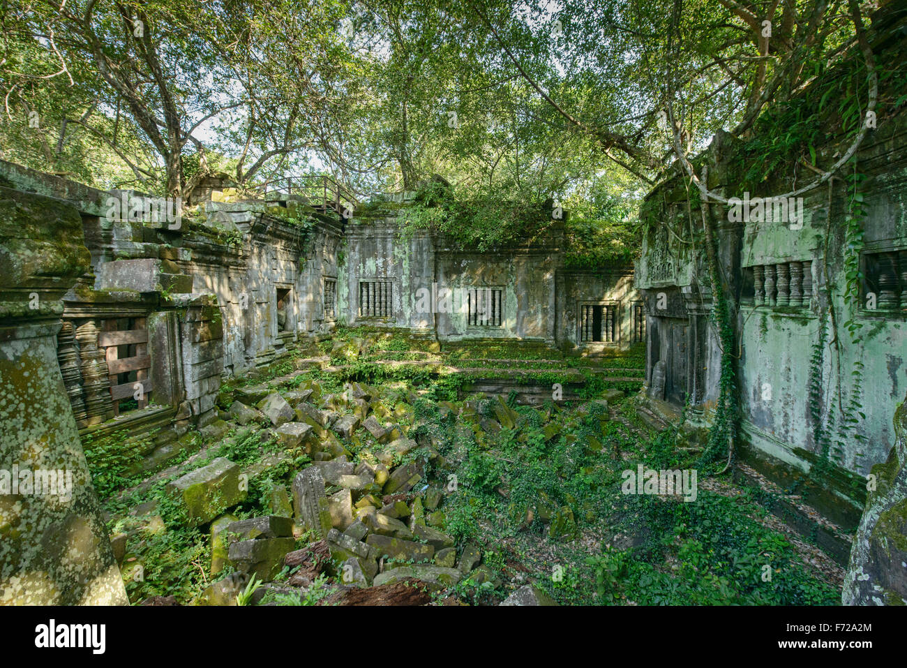 L'hidden temple jungle de Beng Meala, Siem Reap, Cambodge Banque D'Images