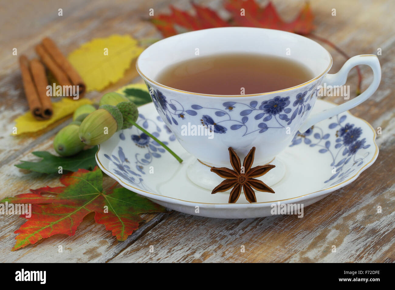 Tasse de thé en porcelaine vintage tasse de feuilles d'automne et Banque D'Images