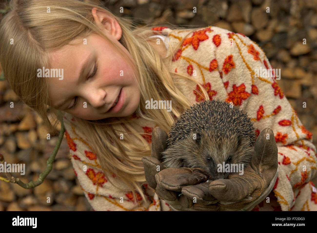 Western hérisson, fille, enfant, Mädchen mit, genre Erinaceus europaeus, Igel, Westigel Braunbrustigel, hérisson, Banque D'Images