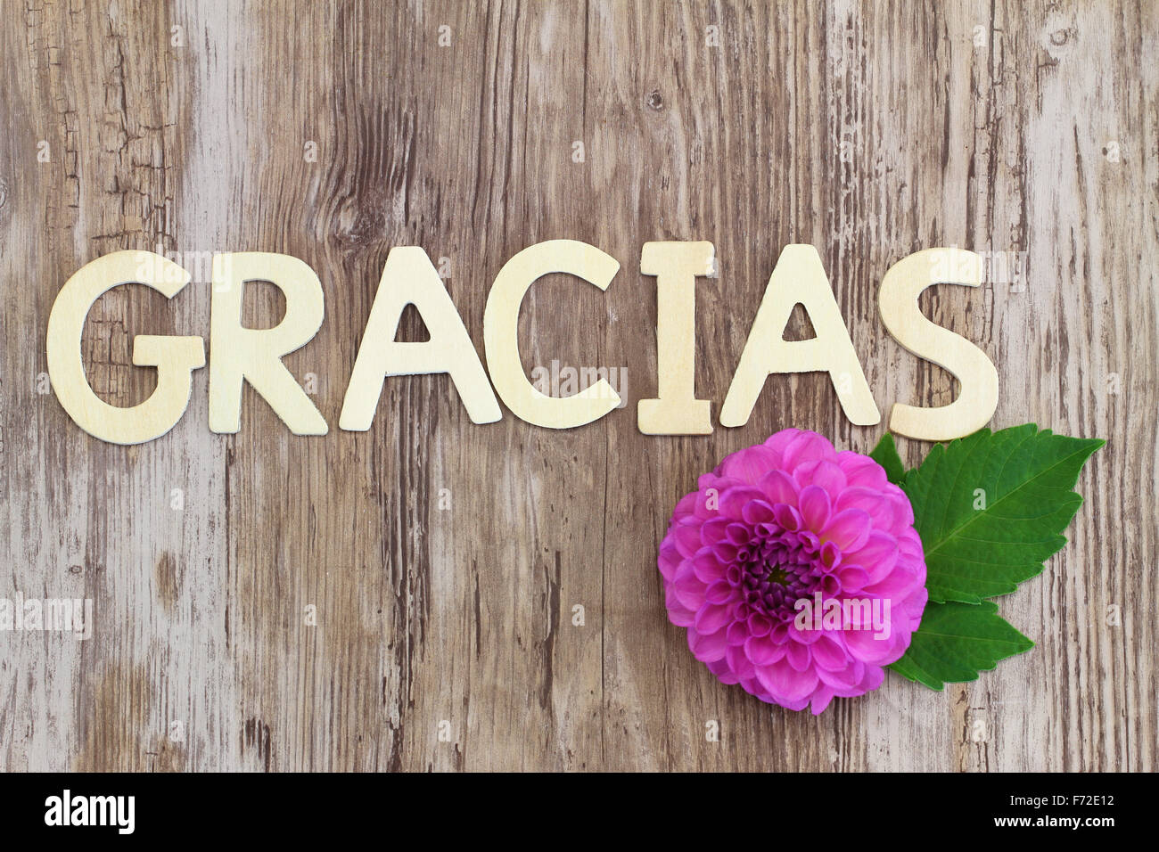 Gracias (ce qui signifie merci en espagnol) écrit avec des lettres en bois et rose fleur dahlia Banque D'Images