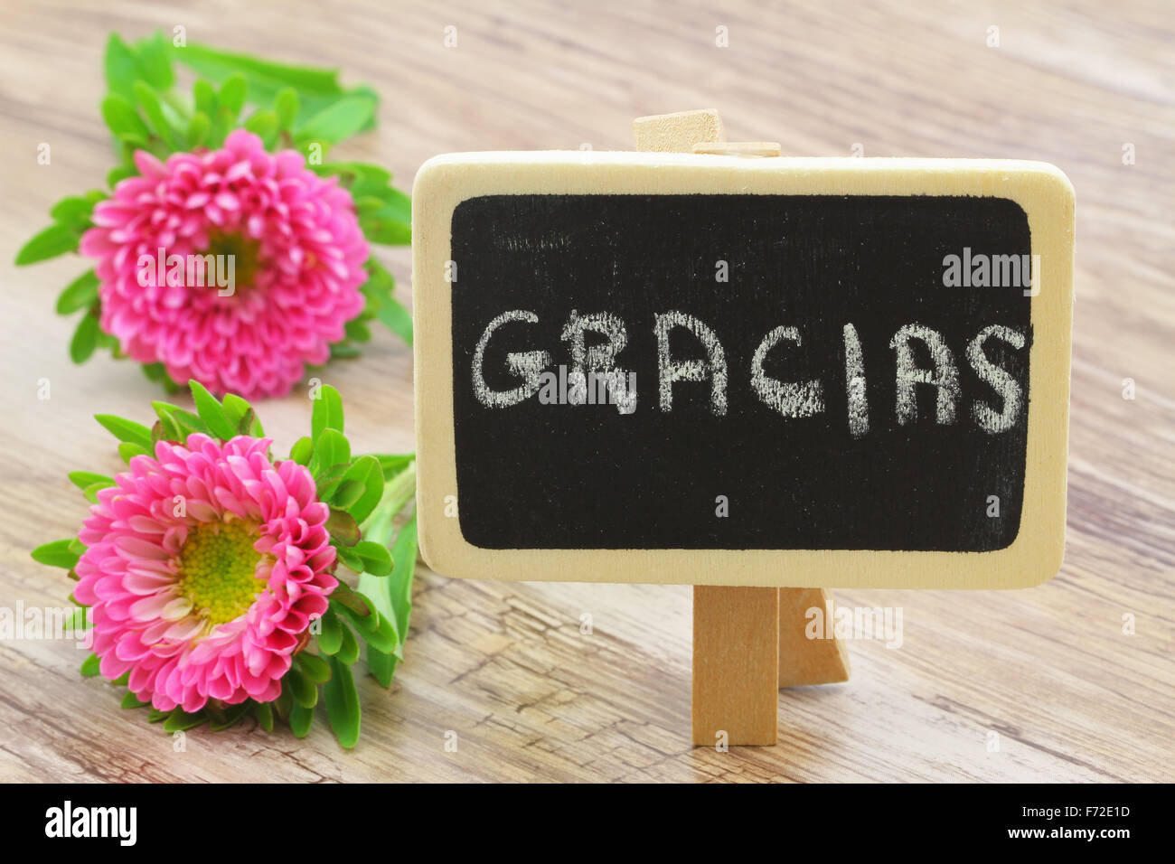 Gracias (merci en espagnol) écrit sur mini tableau noir et pink daisies Banque D'Images