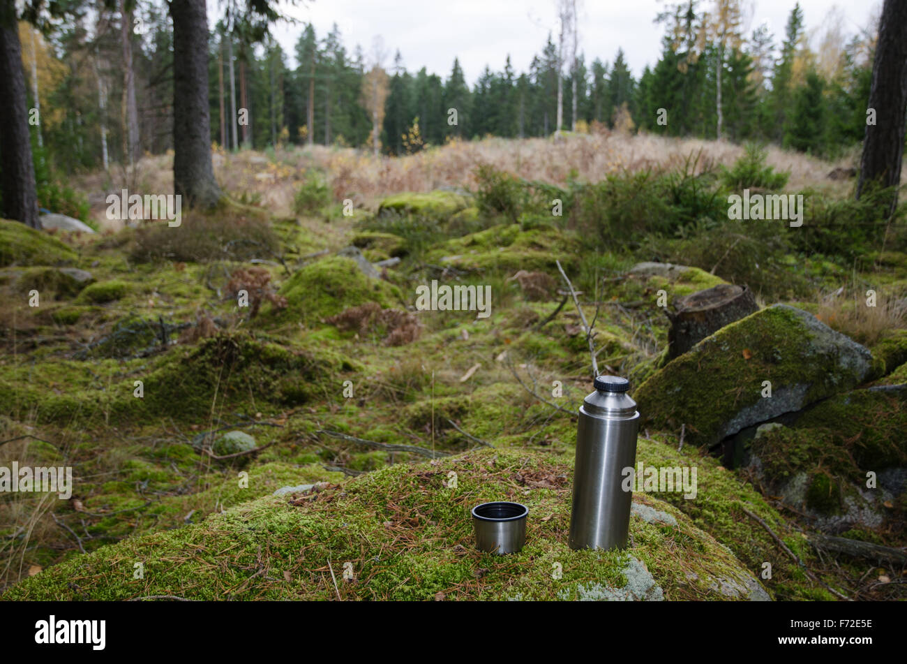 Thermos en acier et une tasse sur une roche moussue dans une forêt verte Banque D'Images