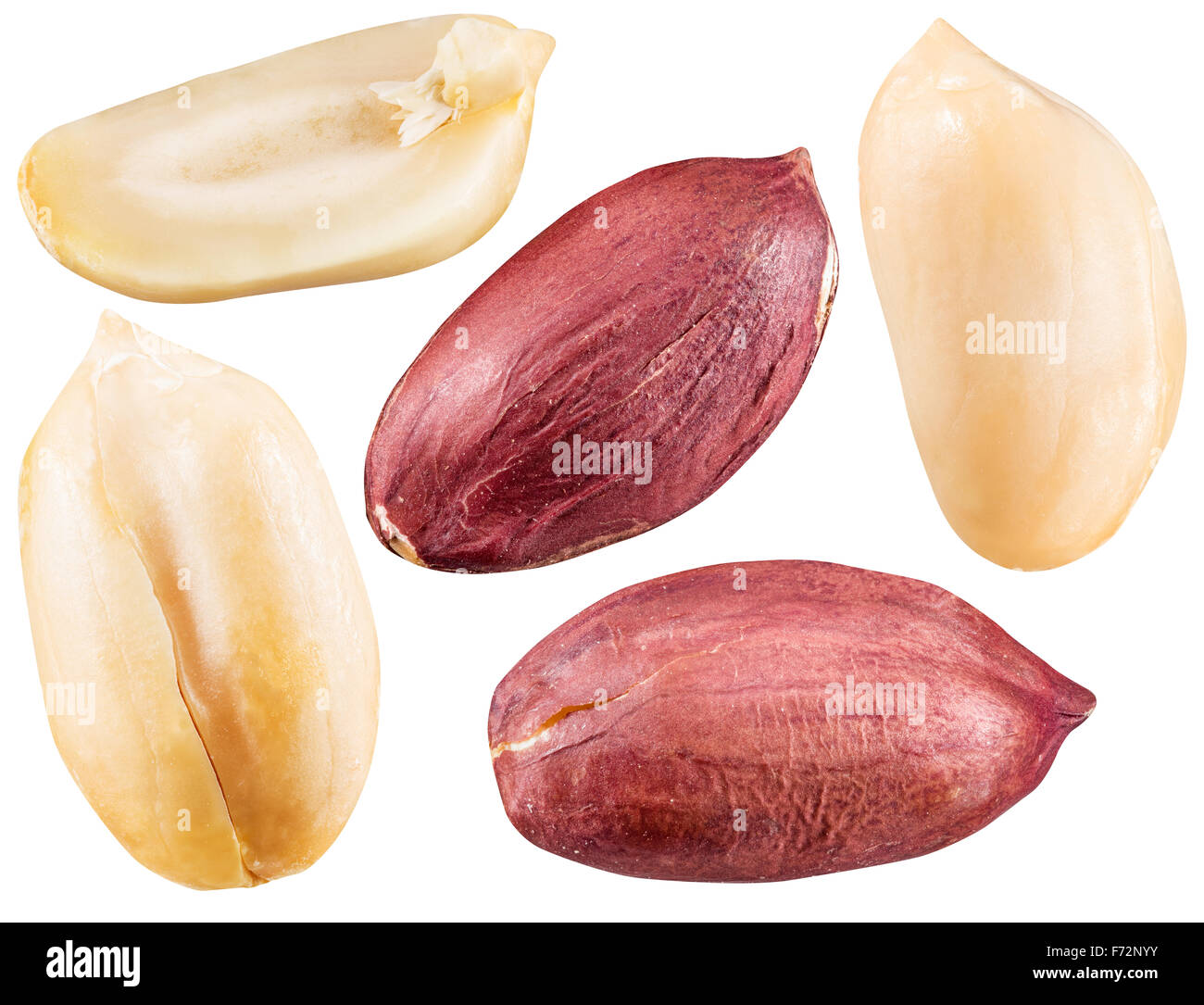 Pelé et ouvert les arachides. Fichier contient des chemins de détourage pour chacun de l'écrou. Banque D'Images