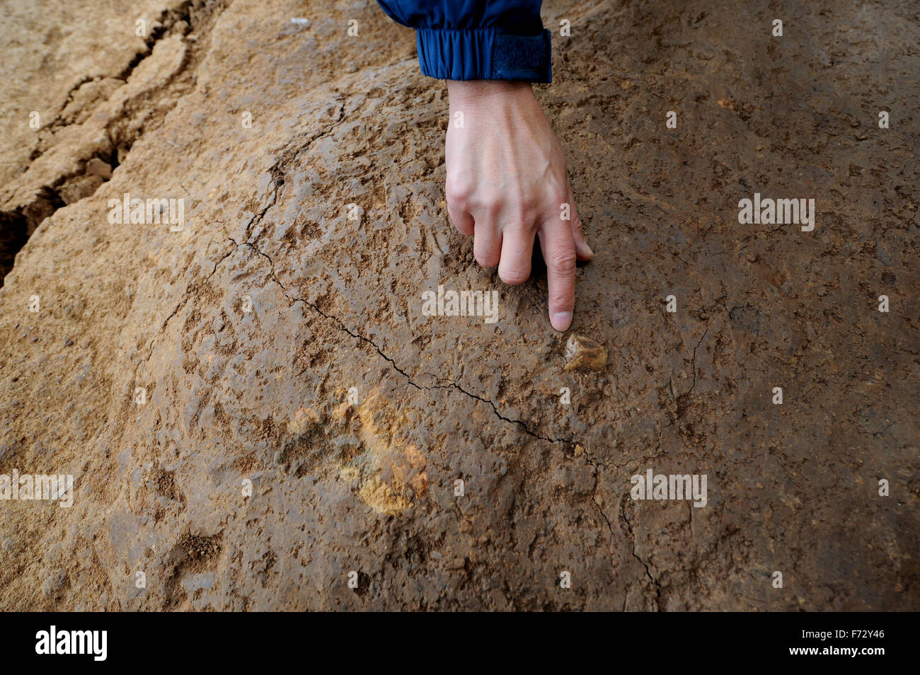 (151124) -- XI'AN, 24 novembre 2015 (Xinhua) -- Photo prise le 24 novembre 2015 montre un feu reste laissés par les êtres humains dans les ruines du temple le Longgang paleoanthropological site dans la ville de Hanzhong, Chine du nord est de la province de Shaanxi. Les archéologues de l'Institut de paléontologie des vertébrés et de paléoanthropologie de l'Académie chinoise des sciences et l'Institut archéologique de Shaanxi ont trouvé des traces d'activités humaines remontant à plus d'un million d'années au Temple de Longgang ruines. La découverte prouve que le No.91 Haping Vallée est aussi une des origines de la civilisation chinoise ancienne. Le Longgang Banque D'Images