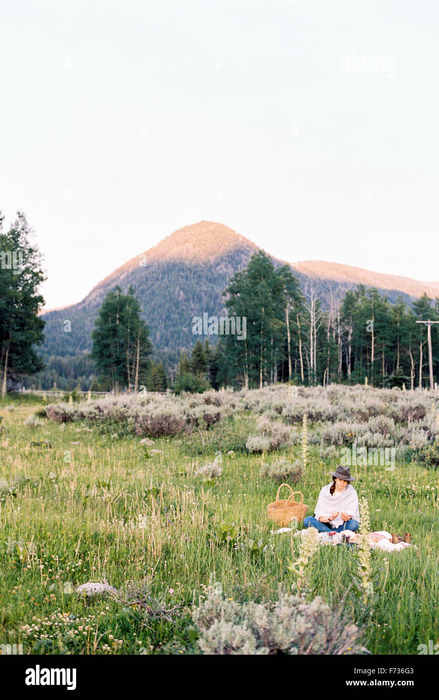 Femme ayant un pique-nique dans un pré, les montagnes au loin. Banque D'Images