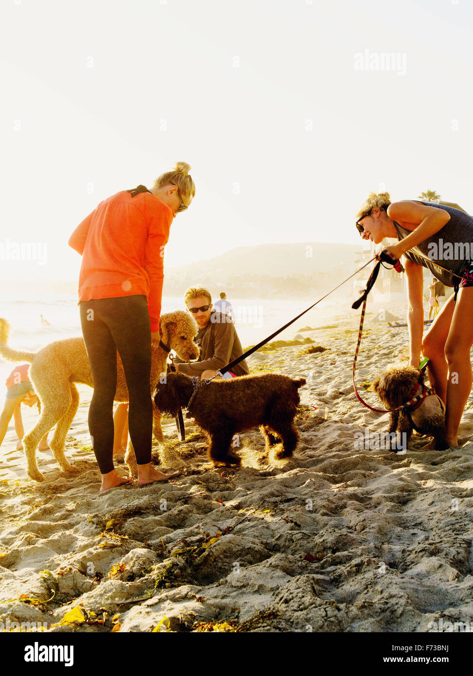 Les amateurs de plage avec leurs animaux d'amour rencontrez sur Laguna Beach en Californie. Banque D'Images