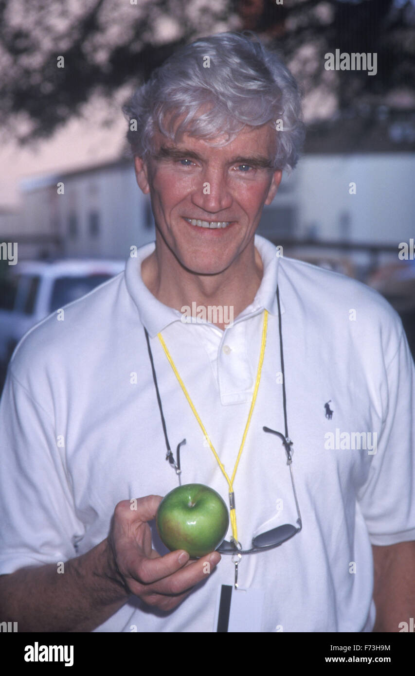 PHOTOS DE FICHIER : DAVID CANARY (Août 25, 1938, Elwood, Indiana - 16 novembre 2015) qui a joué les frères jumeaux Adam et Stuart Chandler sur le soap opera ABC "tous mes enfants, ' est décédé à 77. Secteur de l'agriculture est mort de causes naturelles le 16 novembre, selon un Bouton Funeral Home avis posté le mardi 24 mai. Il laisse par femme, Maureen, et deux enfants adultes. Sur la photo : Nov 14, 1998 - Miami, Floride, USA - David Canary à Disney's MGM Savon Super week-end à Disney World. Credit : ZUMA Press, Inc./Alamy Live News Banque D'Images