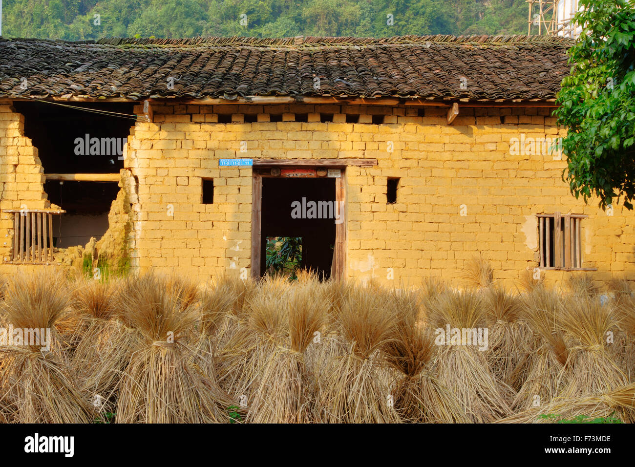 Bottes de paille de riz et le riz de l'Région Guilin Guangxi, Chine LA007994 Banque D'Images