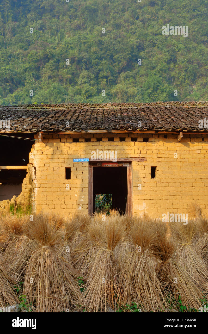 Bottes de paille de riz et le riz de l'Région Guilin Guangxi, Chine LA007998 Banque D'Images