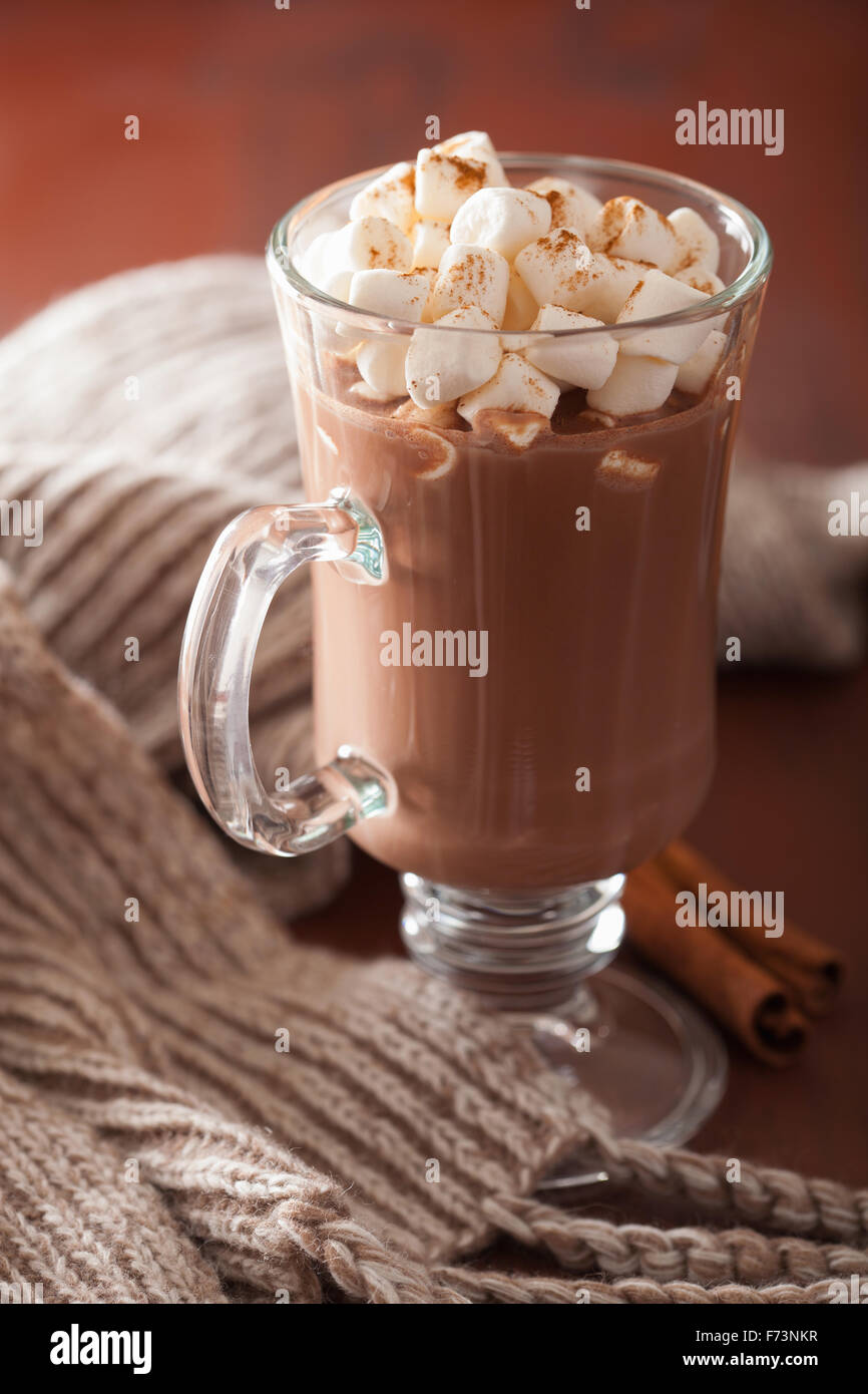 Chocolat chaud avec guimauves mini verre hiver cannelle Banque D'Images
