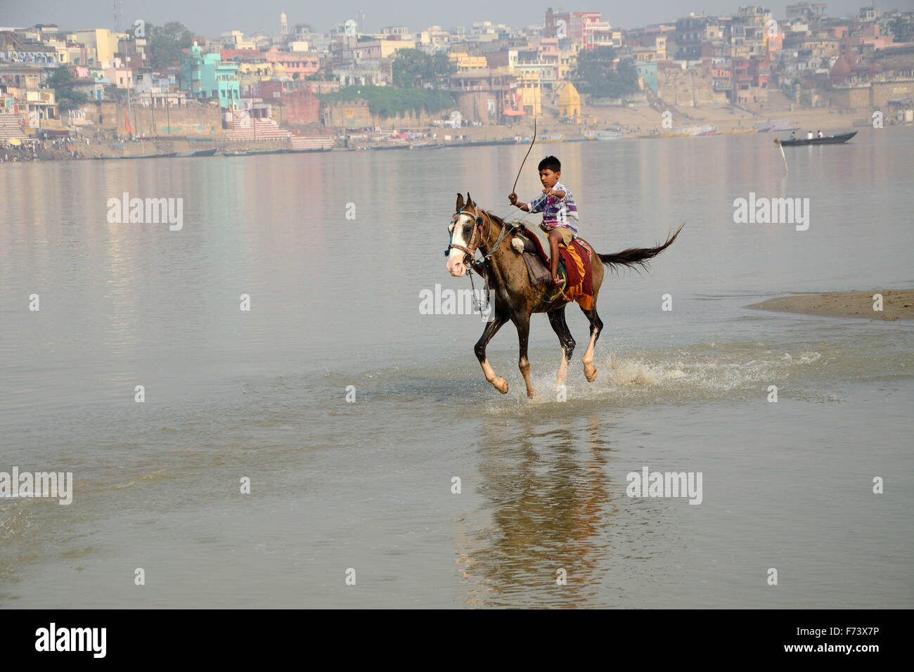 Boy running horse riding, gange varanasi, Uttar Pradesh, Inde, Asie Banque D'Images