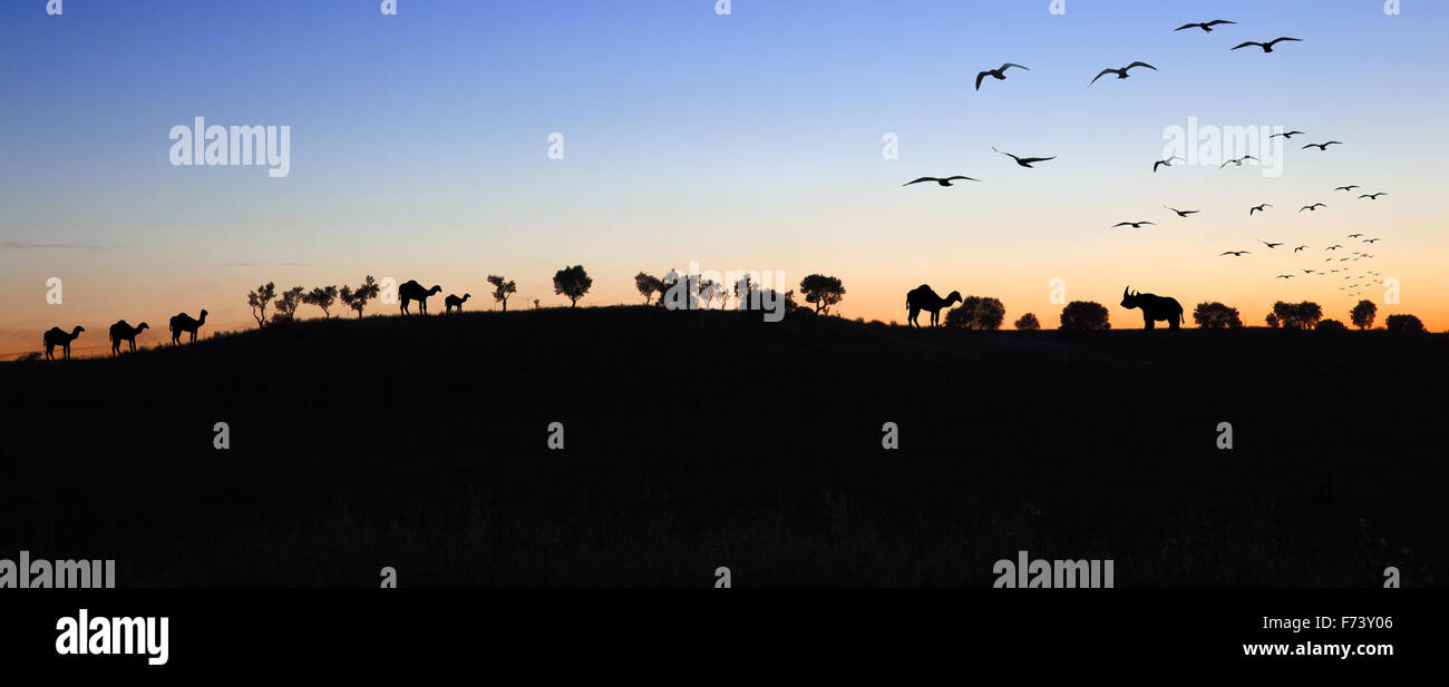 Paysage au coucher du soleil avec des silhouettes d'animaux et d'arbres Banque D'Images