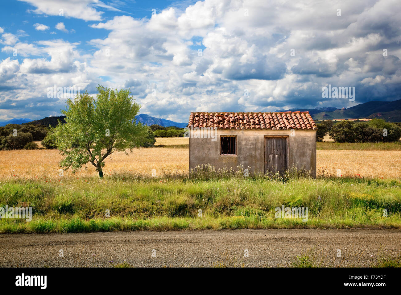 Paysage avec ancienne maison et arbre Banque D'Images