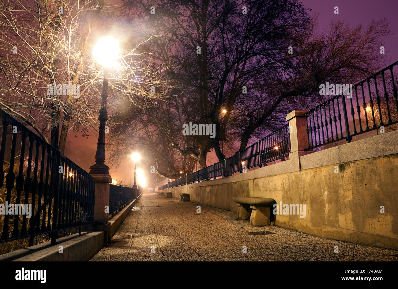 City street at night avec arbres et lampadaire.Winter night cityscape Banque D'Images