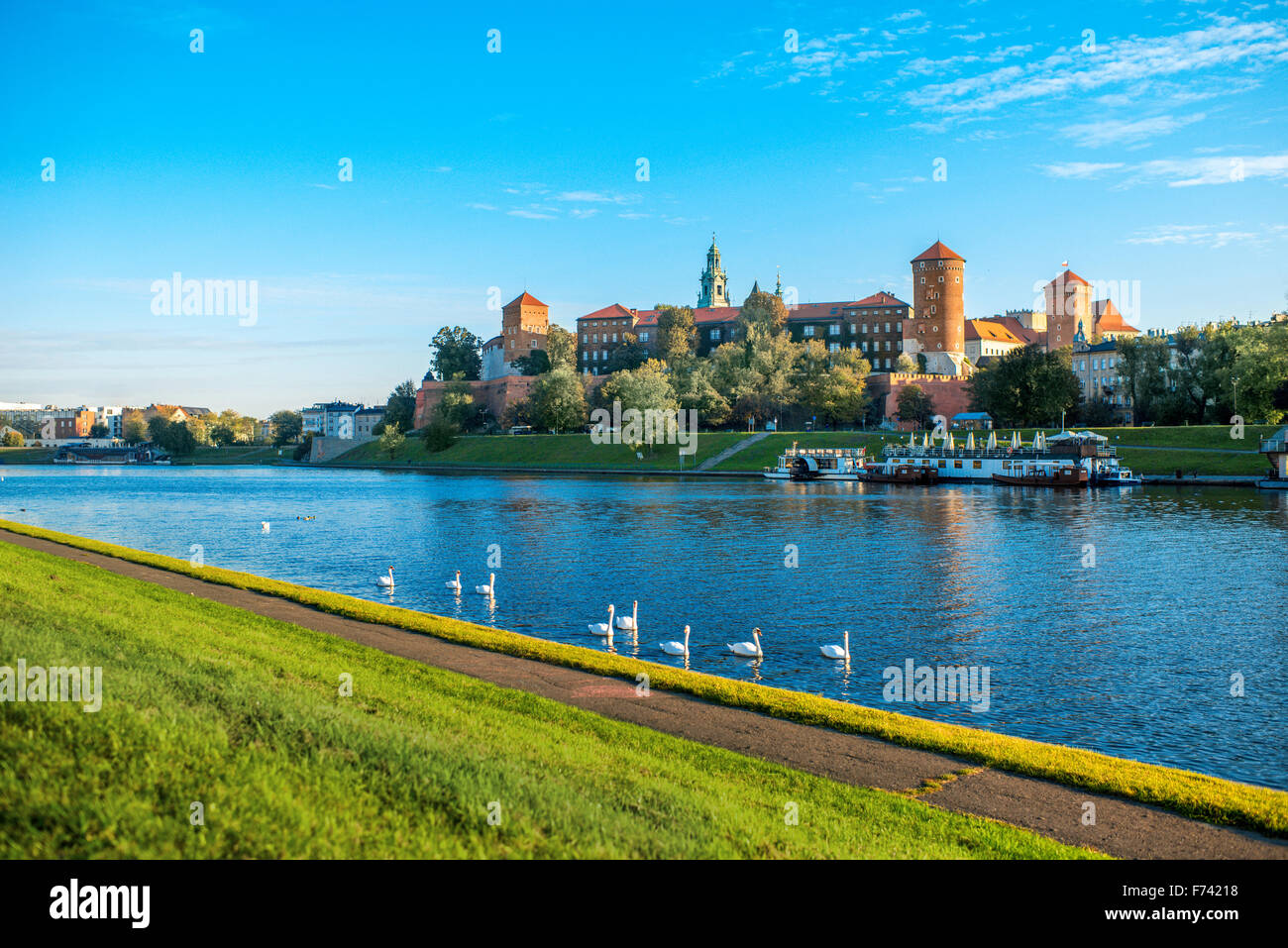 Belle vue sur la Vistule avec cygnes nager près du château de Wawel à Cracovie le matin Banque D'Images