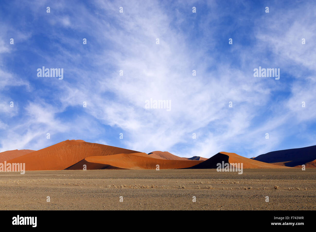 Dunes de sable rouge avant le coucher du soleil nice casting shadows à Sossusvlei, Namibie Banque D'Images