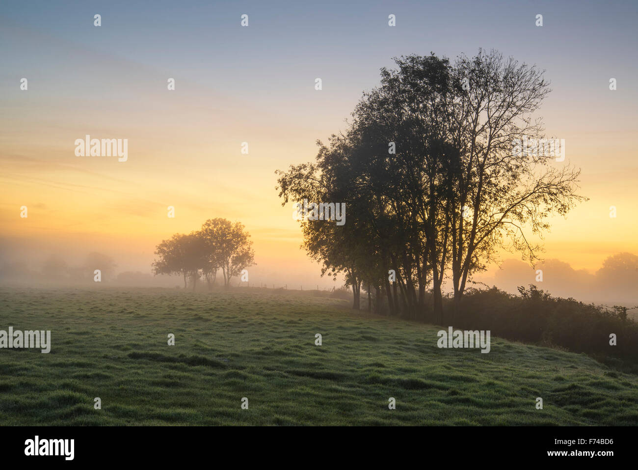 FoggyAutumn lever du soleil magnifique campagne anglaise image paysage Banque D'Images