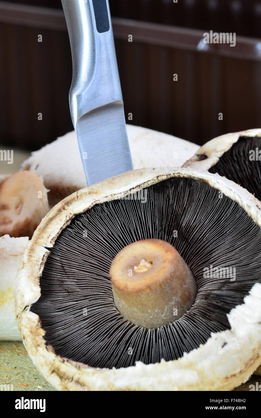 Image de champignons comestibles crus sur un fond de bois Banque D'Images