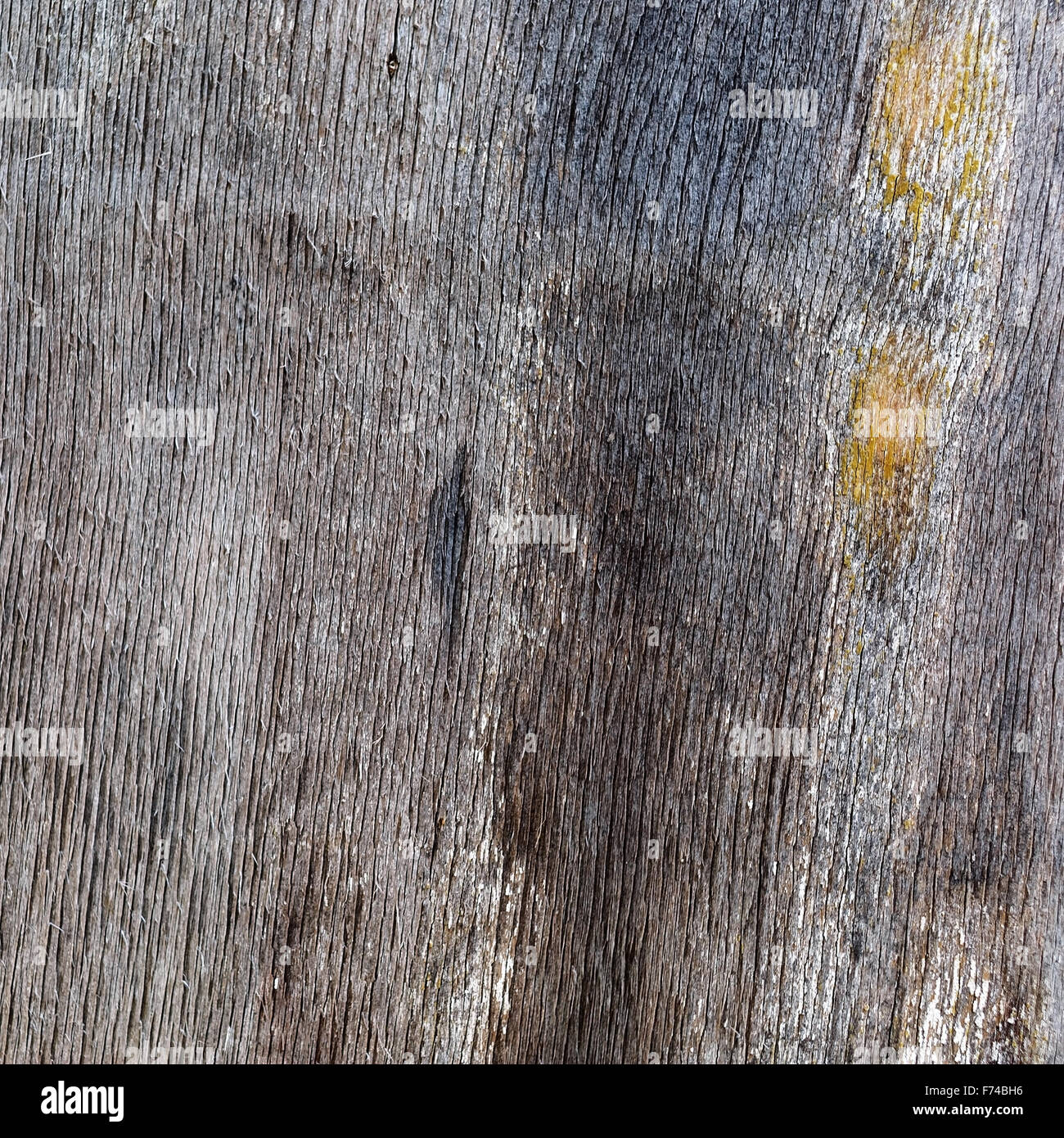 La texture en bois vintage. Old weathered wood background. Banque D'Images