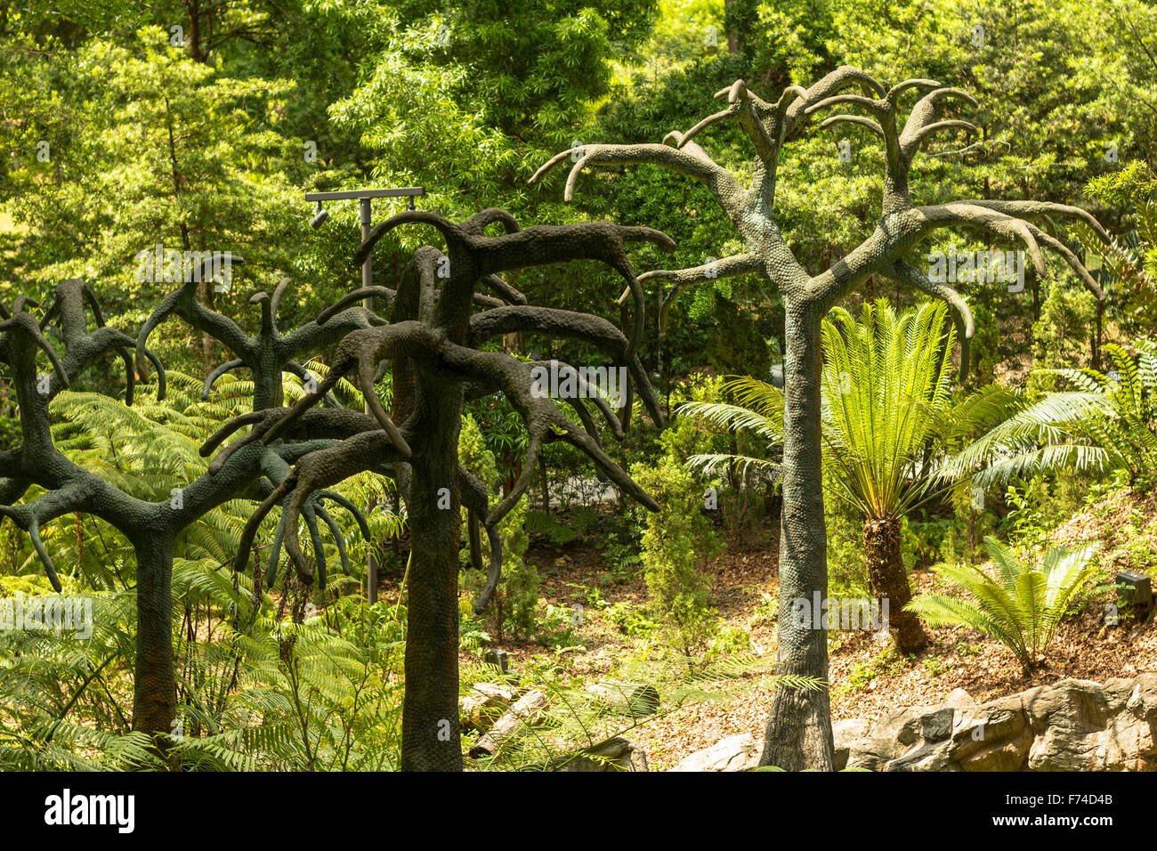 Les arbres bizarres dans Le Jardin Botanique de Singapour Banque D'Images