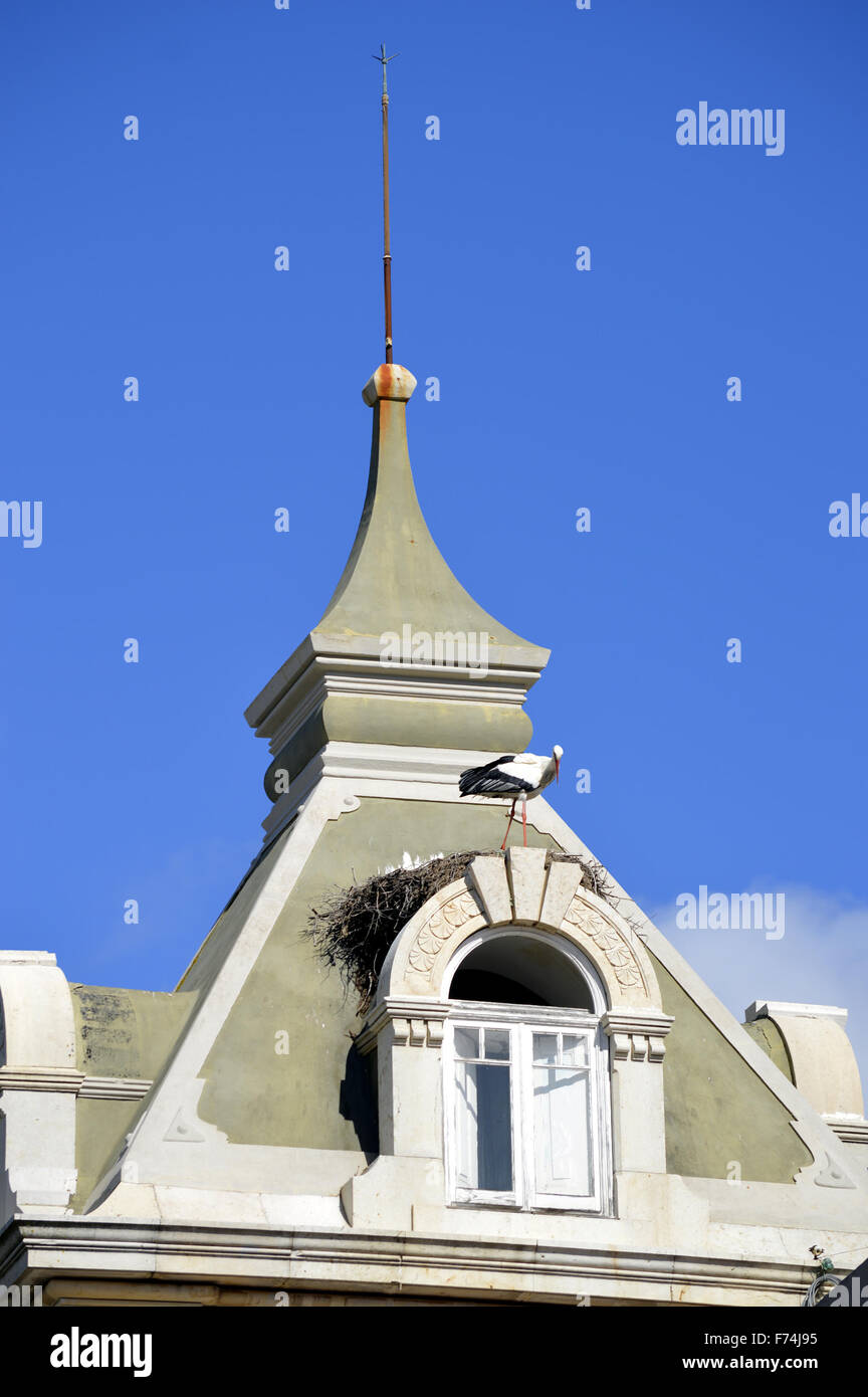 La nidification de la cigogne sur le toit de la sortie l'arche dans le mur du vieux Faro Banque D'Images La nidification de la cigogne sur le toit de la sortie l'arche dans le mur du vieux Faro Banque D'Images