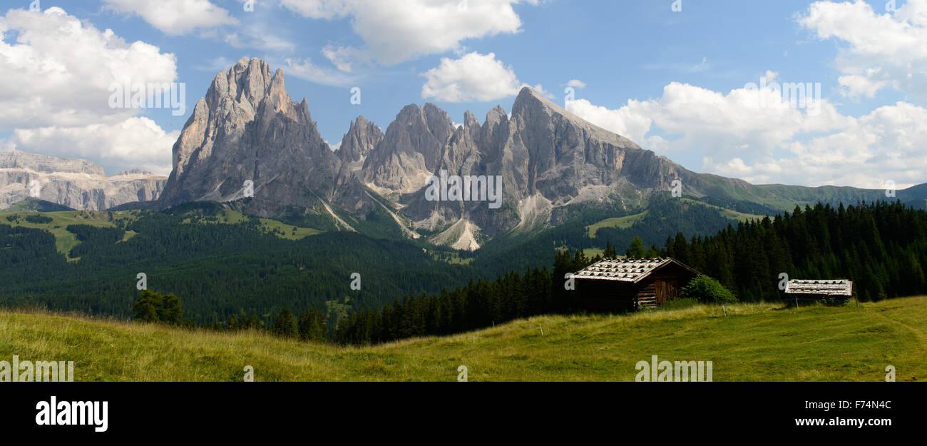 Langkofel mit Almhütte / Sassolungo avec alpine chalet Banque D'Images