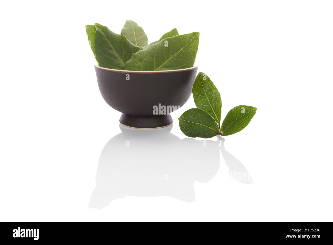 Feuilles de laurier frais et sec isolé sur fond blanc. Herbes culinaires, ingrédient pour la cuisson et d'herbes médicales. Banque D'Images