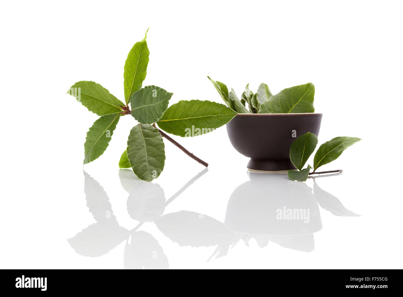 Feuilles de laurier frais et sec isolé sur fond blanc. Herbes culinaires, ingrédient pour la cuisson et d'herbes médicales. Banque D'Images