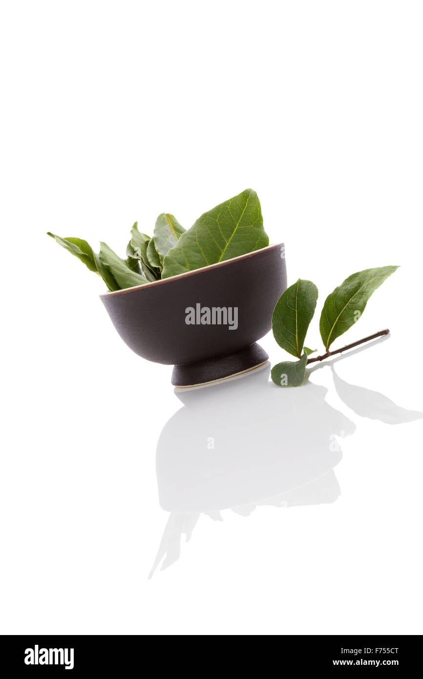 Les feuilles de laurier isolé sur fond blanc. Herbes culinaires, ingrédient pour la cuisson et d'herbes médicales. Banque D'Images