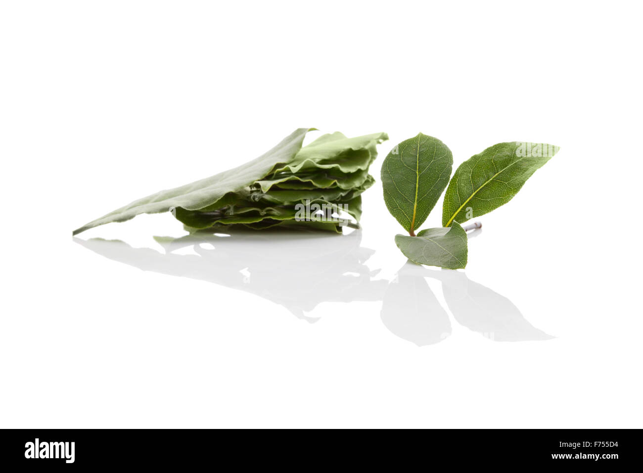 Les feuilles de laurier isolé sur fond blanc. Herbes culinaires, ingrédient pour la cuisson et d'herbes médicales. Banque D'Images