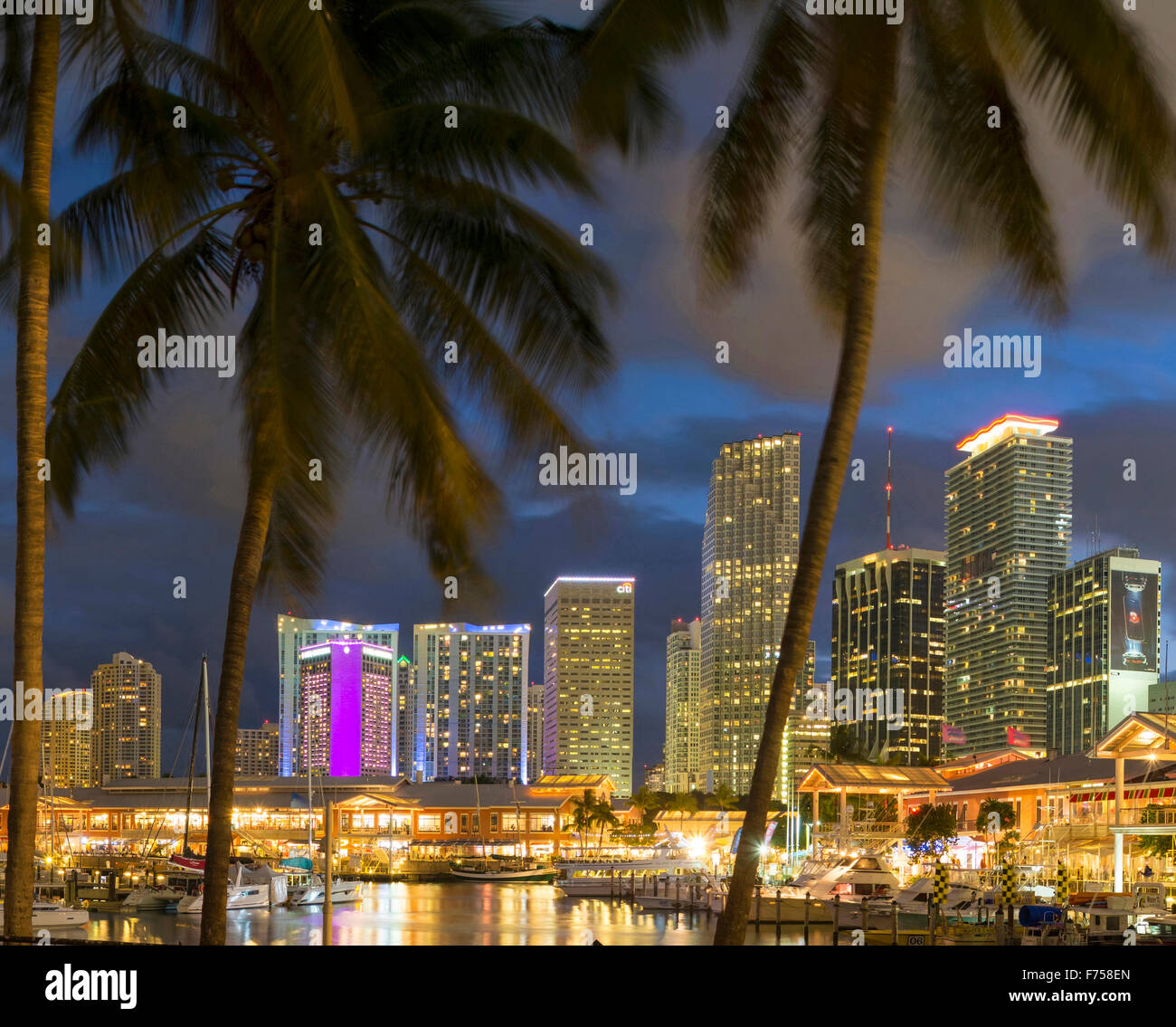 Ville de Miami vue sur marina, Florida, USA Banque D'Images