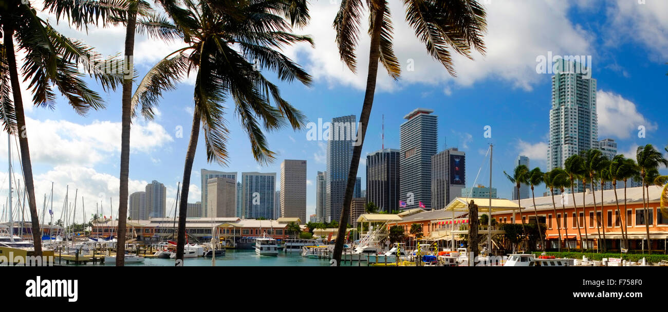 Ville de Miami vue sur la marina, Florida, USA Banque D'Images