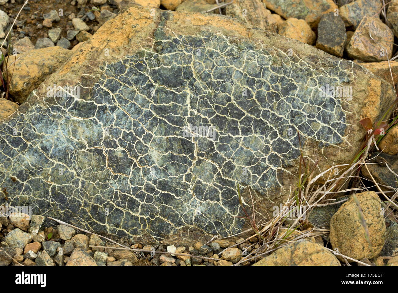 Lizardite de serpentine (roche. Tablelands, parc national du Gros-Morne, à Terre-Neuve. Banque D'Images