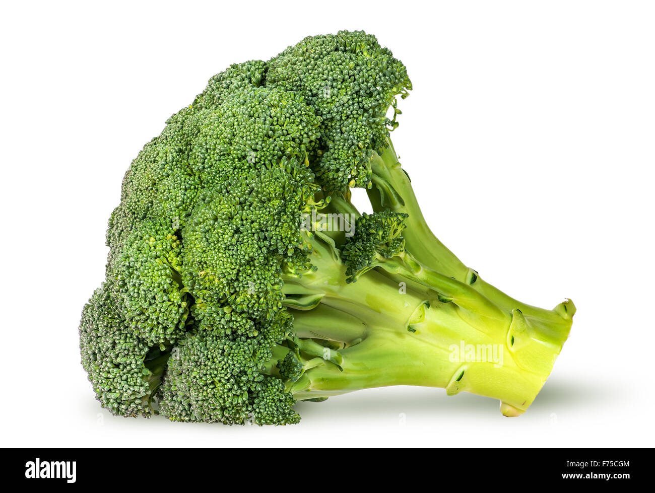 Grandes inflorescences de brocoli frais allongé isolé sur fond blanc Banque D'Images