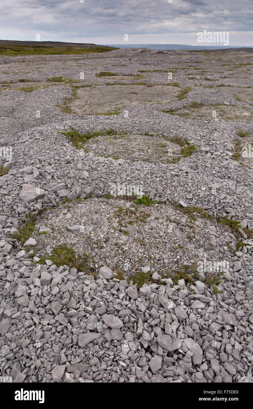 Polygones de gel et d'autres effets du pergélisol sur le calcaire ordovicien à Burnt Cape, au nord-ouest de Terre-Neuve. Banque D'Images