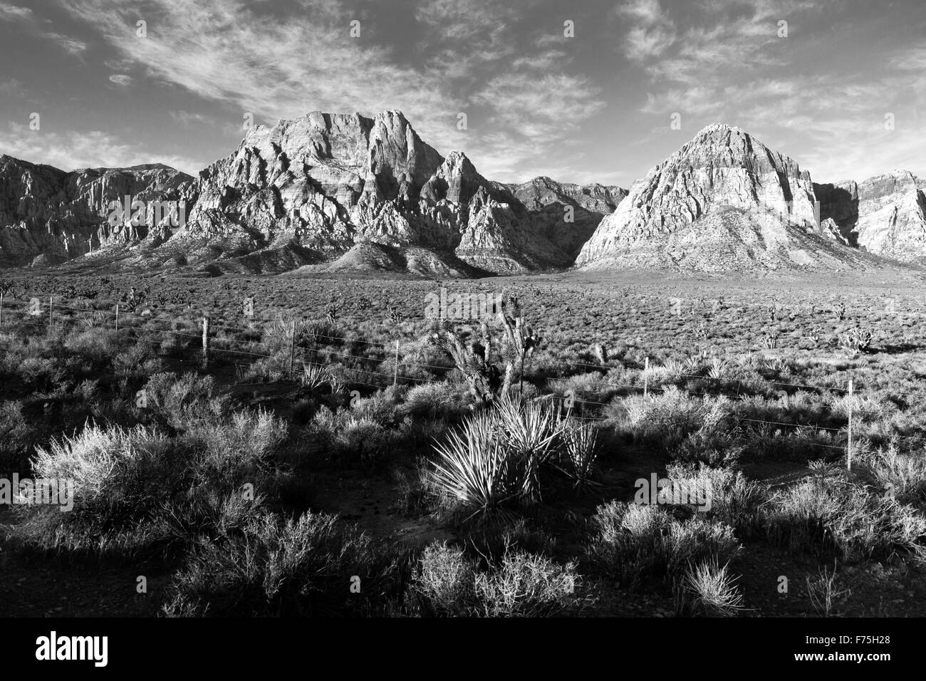 Le soleil hits Red Rocks juste après l'aube dans le désert du Nevada Banque D'Images