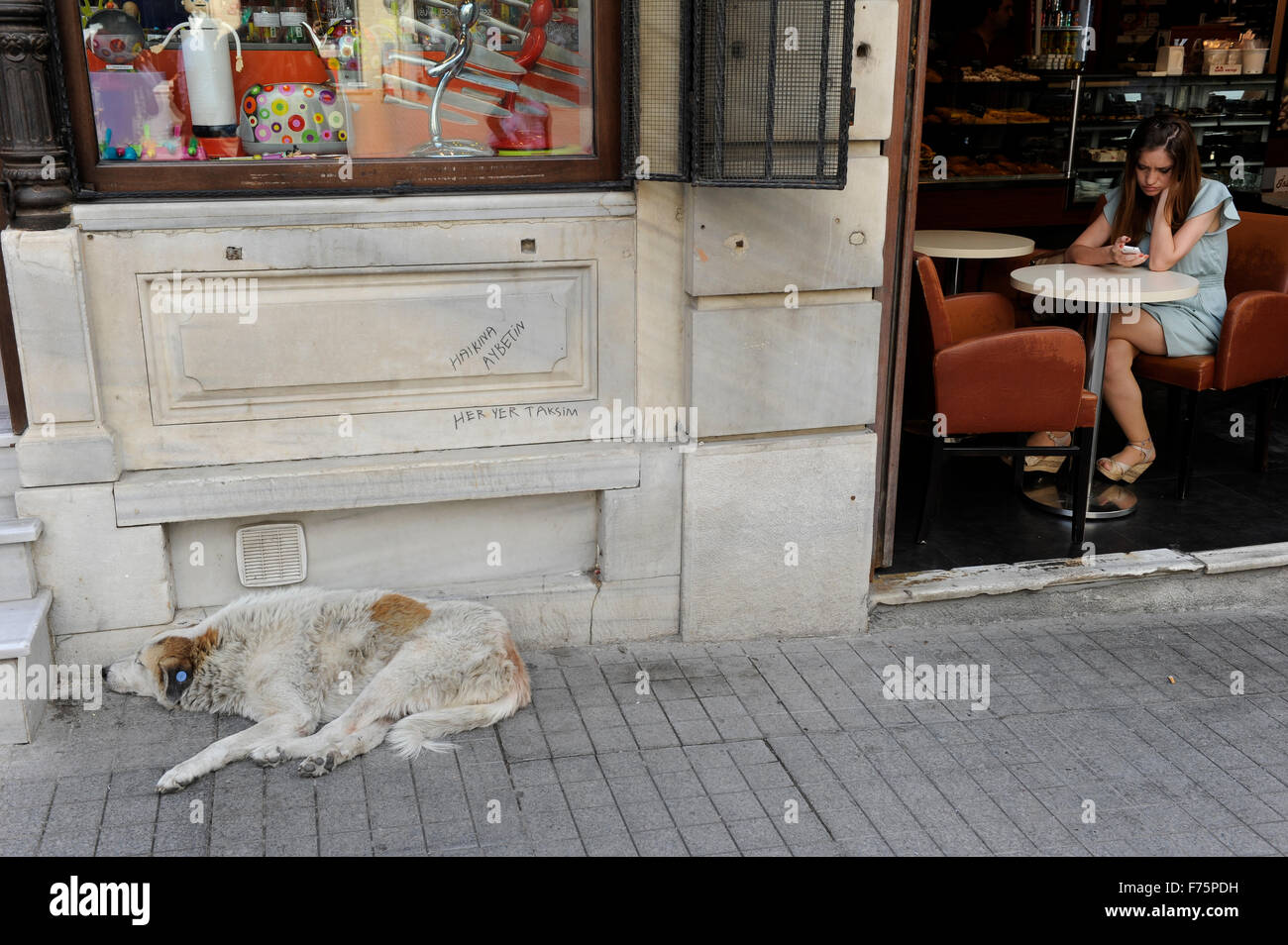 TURQUIE Istanbul, rue Istiklal, chien de rue et café avec le slogan mural Haikina Aybetin-Her Taksim Banque D'Images