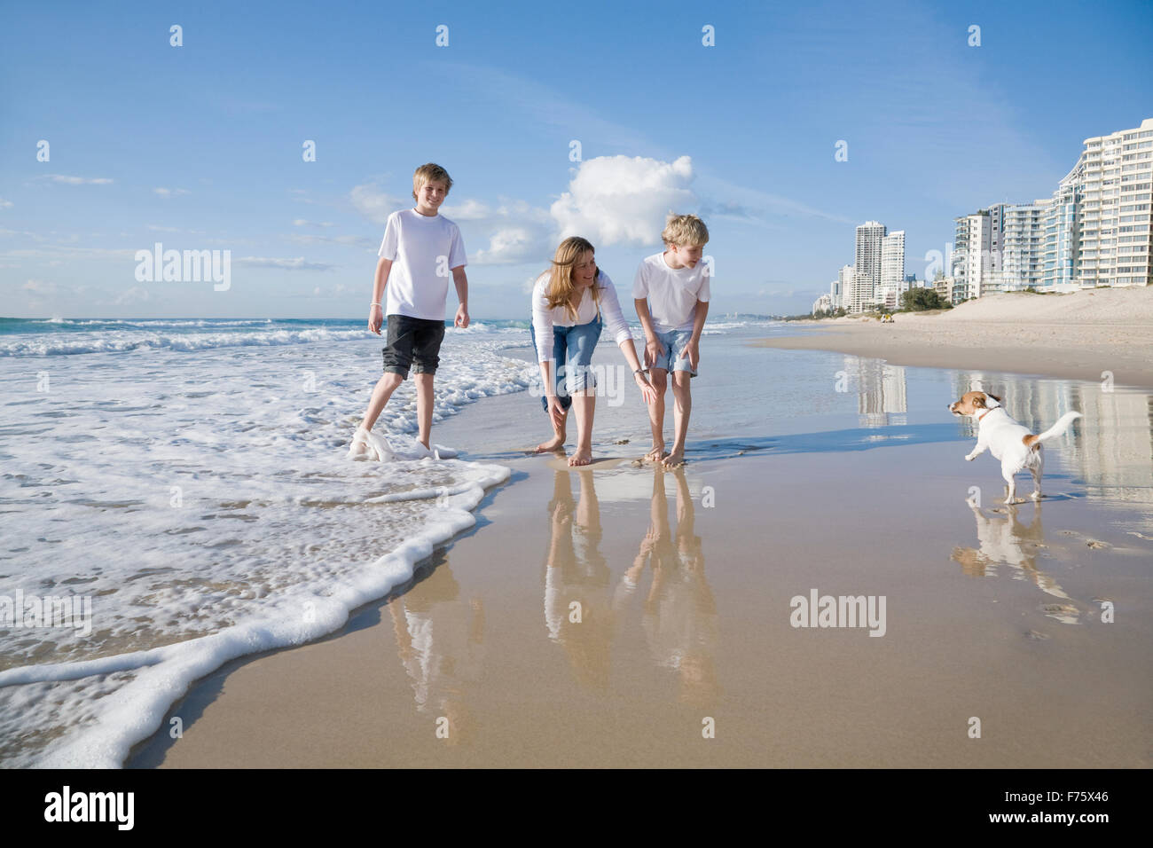 Family Playing with dog sur la plage Banque D'Images